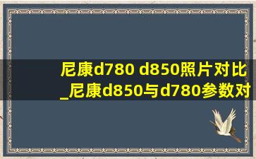 尼康d780 d850照片对比_尼康d850与d780参数对比